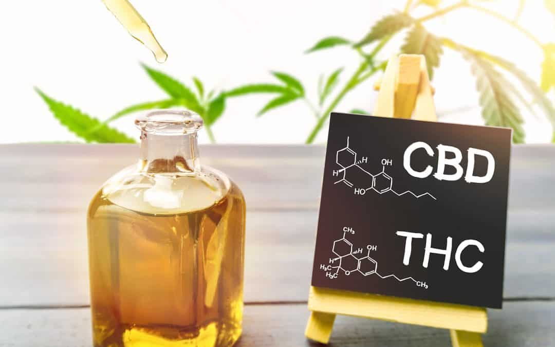 Dali su CBD proizvodi legalni u Hrvatskoj