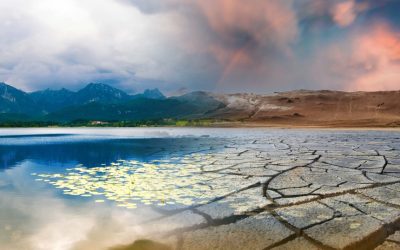 Znanost o klimatskim promjenama: Utjecaj čovjeka na okoliš i kako ga zaustaviti